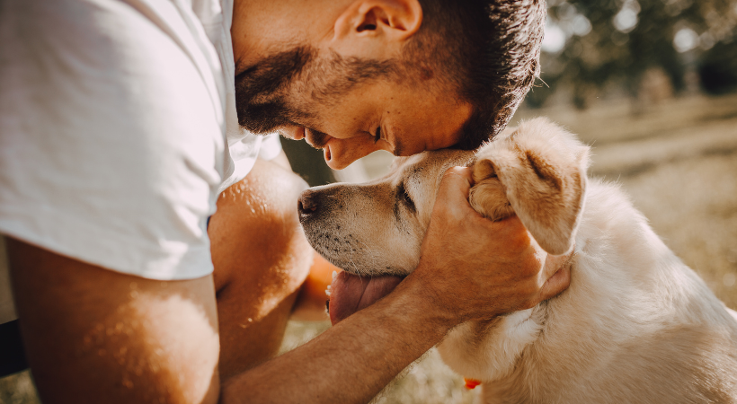 crocchette per cani anziani